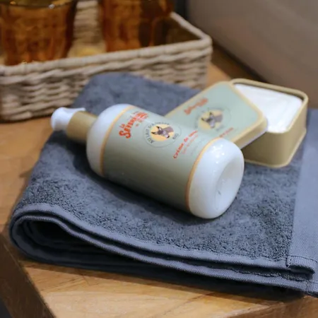 Гостевой дом Les Sagranieres Салер